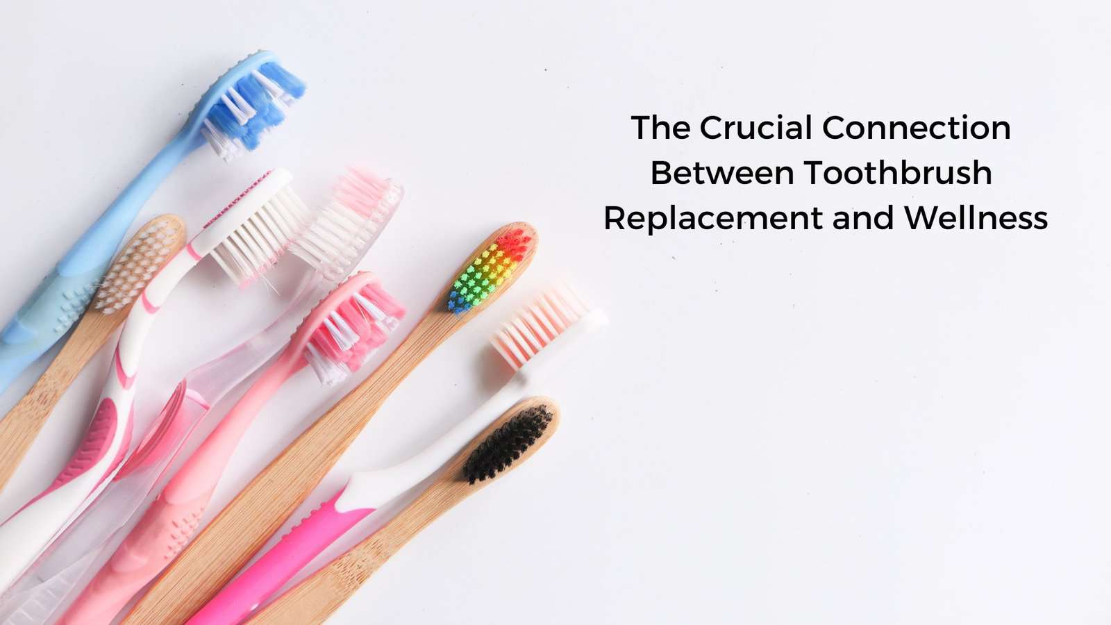 toothbrush replacement and wellness
